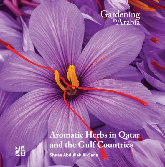 Gardening in Arabia: Aromatic Herbs in Qatar and the Gulf Countries