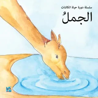 سلسلة دورة حياة الكائنات: الجمل