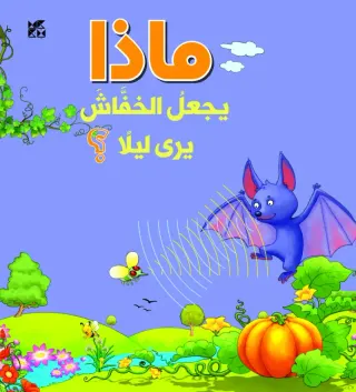 سلسلة الأسئلة: ماذا يجعل الخفاش يرى ليلًا؟