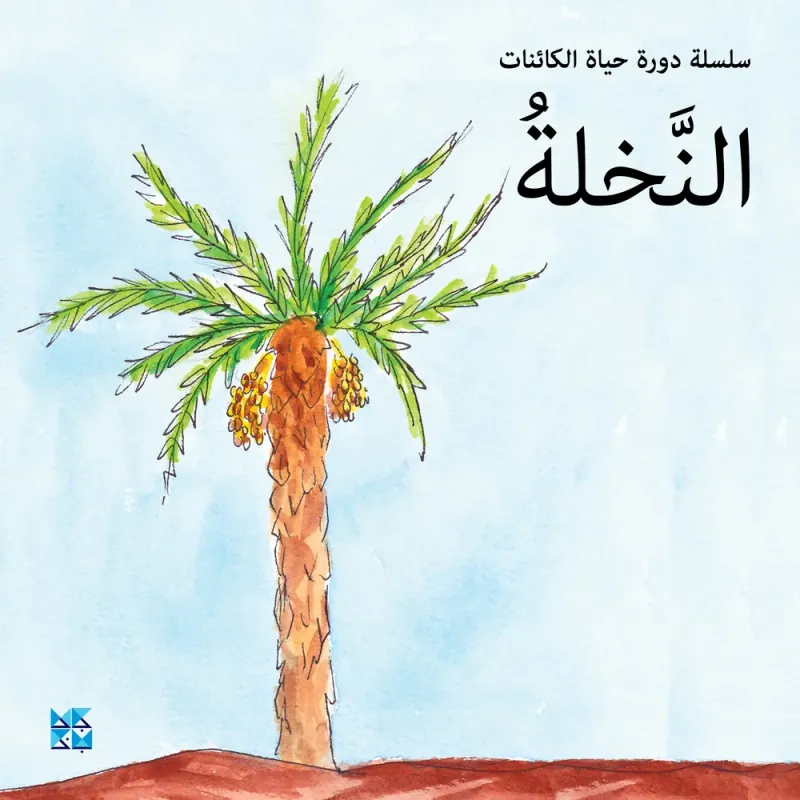 سلسلة دورة حياة الكائنات: النخلة