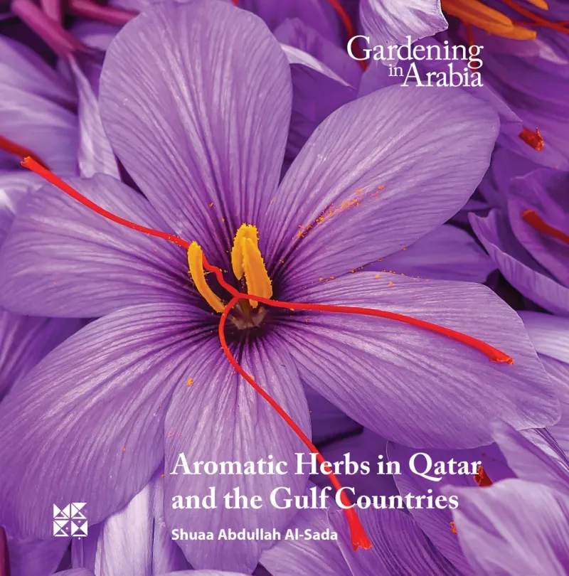 Gardening in Arabia: Aromatic Herbs in Qatar and the Gulf Countries
