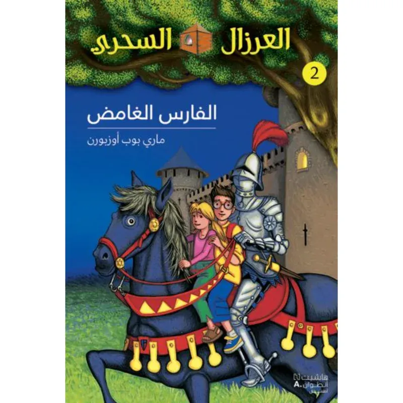 الفارس الغامض - 2